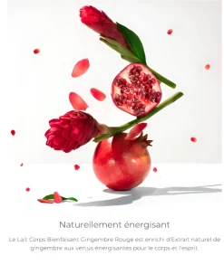 Lait corps bienfaisant Gingembre Rouge Roger & Gallet - flacon-pompe de 250 ml