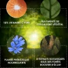 L'Appel de la Forêt La poudre magique éclat et jeunesse Garancia - pot de 6 g