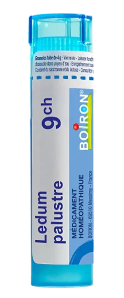 Ledum palustre granules Boiron