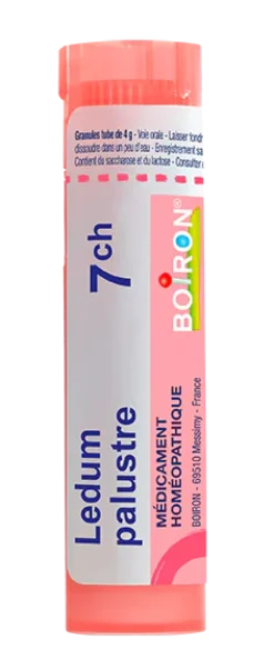 Ledum palustre granules Boiron