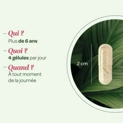 Levure de bière bio Super Diet - boite de 100 gélules