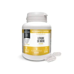 Levure de bière revivifiable Dayang - boîte de 90 gélules
