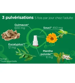 L52 Flash spray gorge Lehning - spray de 30ml