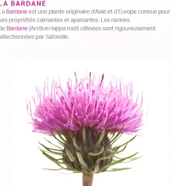 Lingettes intimes fraicheur et douceur Saforelle