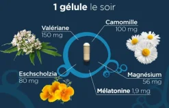 L72nuit sommeil réparateur Lehning - boite de 30 gélules