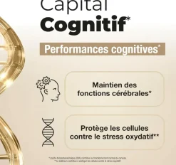 Longevity capital cognitif Les 3 Chênes - pot de 30 gélules