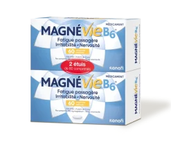 Magnévie B6 100 mg/10 mg – lot de 2 x 60 comprimés