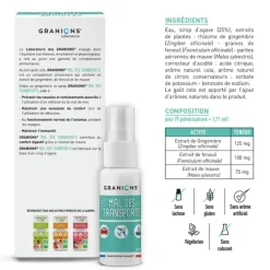 Mal des transports spray nausées et vomissements Granions - spray de 20ml