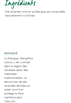 Masque nutrition à la mangue Klorane - pot de 150 ml
