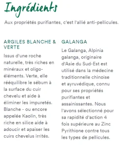 Masque-poudre traitant antipelliculaire au Galanga Klorane - boîte de 8 sachets