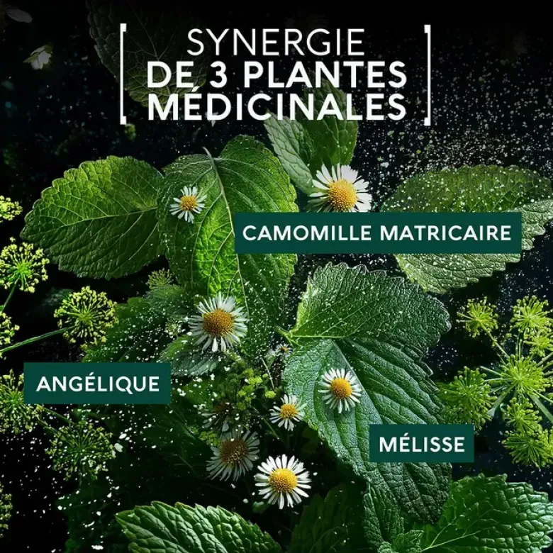 Maux de ventre Flash Naturactive - boite de 10 gélules