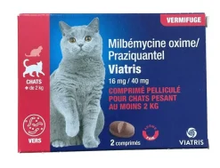 Milbémycine Praziquantel Vermifuge petit chien et chiot +0,5kg arôme viande Viatris