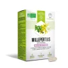 Millepertuis bio Dayang - boîte de 30 gélules