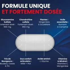 Myostéo gluco chondro max LP mobilité articulaire Santarome - boite de 60 comprimés