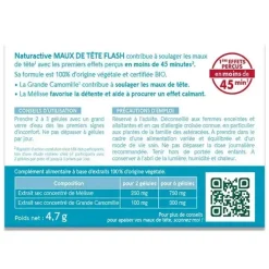 Naturactive Maux de tête Flash bio – 14 gélules