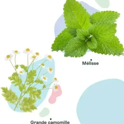 Naturactive Maux de tête Flash bio – 14 gélules