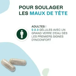 Naturactive Maux de tête Flash bio – 14 gélules