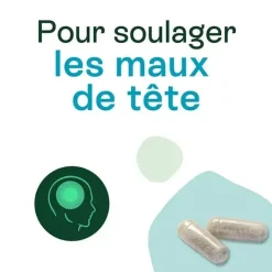 Naturactive Maux de tête Flash bio – 14 gélules