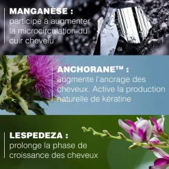 Neoptide Expert Sérum antichute et croissance Ducray - lot de 2 sprays de 50 ml