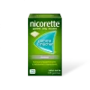 Nicorette 2mg sans sucre gomme à macher - boite de 105 gommes
