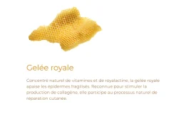 Onguent réparateur Alvadiem - pot de 10ml