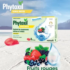 Pastille gorge irritée Phytoxil arôme fruits rouges – 16 pastilles