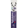 Pastilles hydratation et énergie goût myrtille framboise Panda Tea - 20 pastilles effervescentes