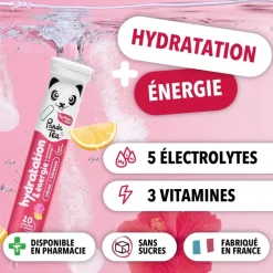 Pastilles hydratation et énergie goût hibiscus citron Panda Tea - 20 pastilles effervescentes