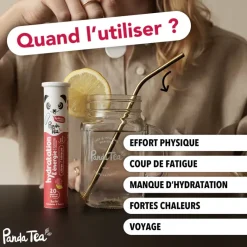 Pastilles hydratation et énergie goût hibiscus citron Panda Tea - 20 pastilles effervescentes