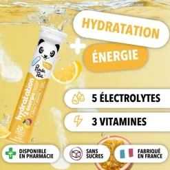 Pastilles hydratation et énergie goût citron passion Panda Tea - 20 pastilles effervescentes