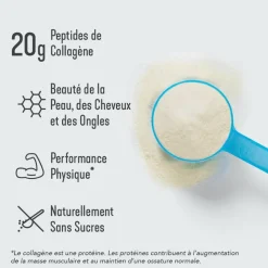 Peptides de collagène non-aromatisé Vital Proteins