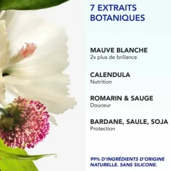 Phyto 7 Elixir crème de jour Phyto Paris - tube de 50ml
