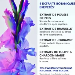 Phytophanère Antichute réactionnelle Phyto - boite de 12 ampoules de 5ml