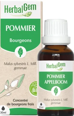 Pommier BIO Herbalgem - flacon de 30ml