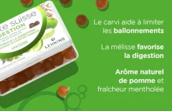 Pâte suisse digestion Lehning - boite de 40 gommes
