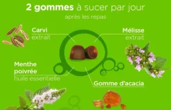 Pâte suisse digestion Lehning - boite de 40 gommes