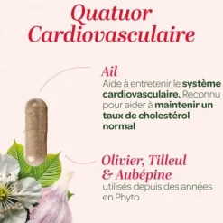 Quatuor cardiovasculaire bio Super Diet - boite de 150 gélules