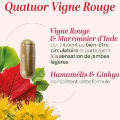 Quatuor Circulation bio Super Diet