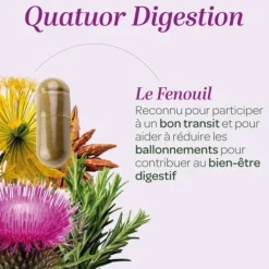 Quatuor digestion bio Super Diet - boite de 150 gélules