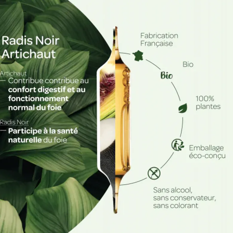 Radis noir / Artichaut bio Super Diet