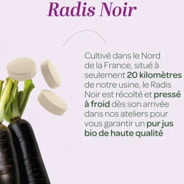 Radis noir bio Super Diet