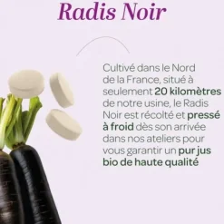 Radis noir bio Super Diet