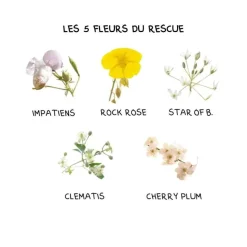 Rescue Kids pastilles fraise Fleurs de Bach - boite de 50g