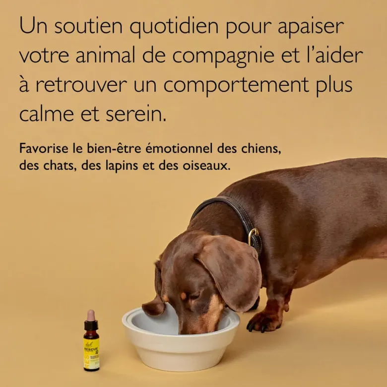 Rescue Pets Fleurs de Bach