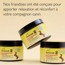 Rescue Pets Friandises relaxantes pour chiens Fleurs de Bach - boite de 60 friandises
