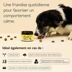 Rescue Pets Friandises relaxantes pour chiens Fleurs de Bach - boite de 60 friandises