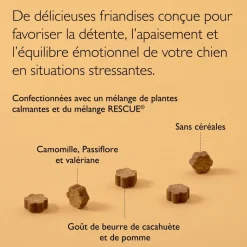 Rescue Pets Friandises relaxantes pour chiens Fleurs de Bach - boite de 60 friandises