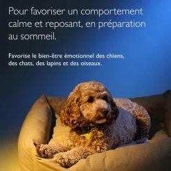 Rescue Pets nuit Fleurs de Bach - flacon compte-gouttes de 20ml