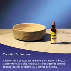 Rescue Pets nuit Fleurs de Bach - flacon compte-gouttes de 20ml