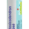 RHUS TOXICODENDENDRON COMPOSE granules Boiron - Tube 4 g